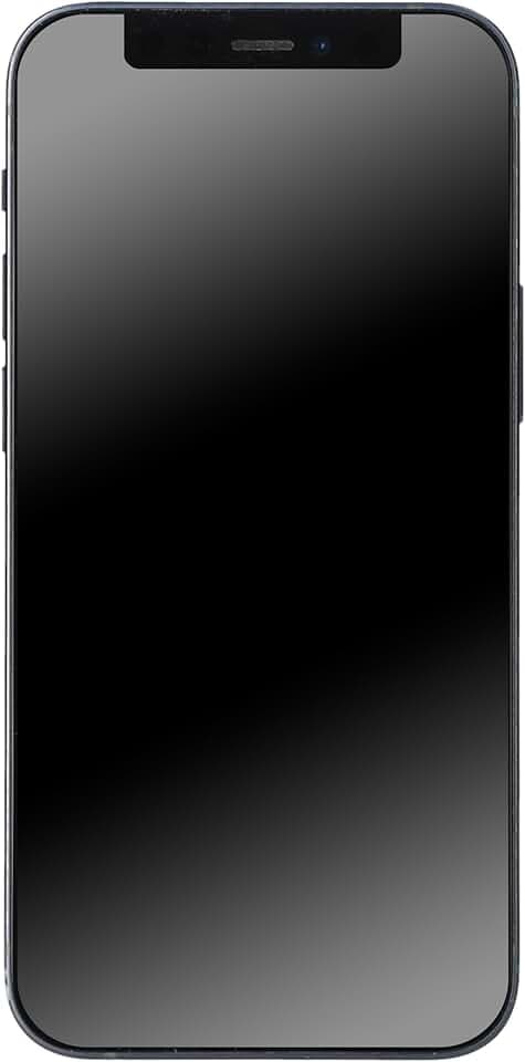 Apple iPhone 12, 128Go, Noir - (Reconditionné)