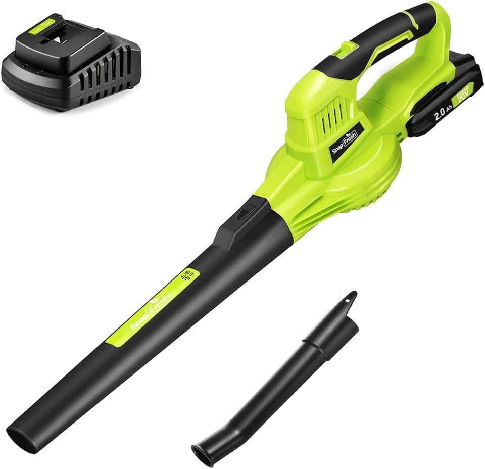 SnapFresh Souffleur Batterie 20V Léger 1,2 kg - Souffleurs de Feuilles sans Fil 210 km/h 240m³/h, 2 Vitesses, avec Batterie et Chargeur - pour Terrasses, Garages, Entrées et Jardins Domestiques (Vert)