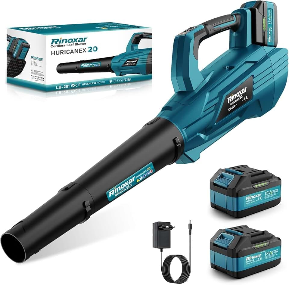 Souffleur Batterie, 5 Vitesses Souffleurs de Feuilles sans Fil avec Moteur Brushless, 2 Batteries 5.2Ah/18V, 35.000 RPM, Vitesse de l'Air 180 km/h, Débit d’Air 800 m³/h, 2 Buses Interchangeables