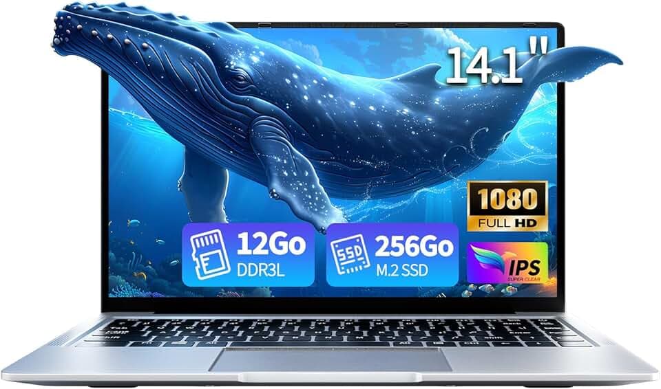 Ordinateur Portable 14,1 Pouces, 12Go DDR4 RAM 256Go SSD Processeur Celeron N3710, 5000mAh Écran IPS 180° PC Portable Win 11 Laptop WiFi5 USB3.0 Mini HDMI BT pour Bureau Études