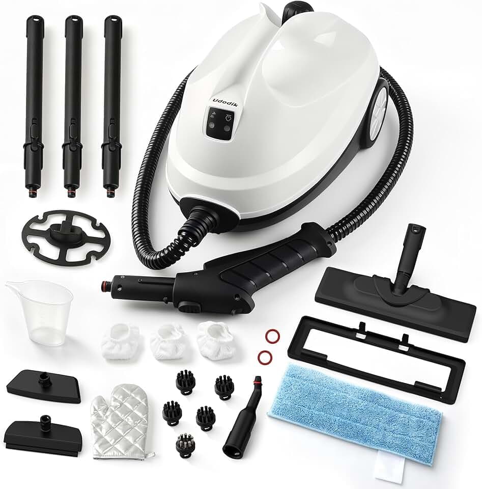 Nettoyeur vapeur, nettoyeur vapeur portable pour la maison, vapeur à haute température de 120 °C, avec 20 accessoires, idéal pour sols, canapés, fenêtres, meubles et cuisine