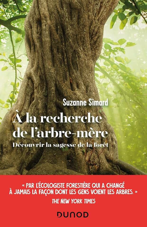 A la recherche de l'arbre-mère: Découvrir la sagesse de la forêt