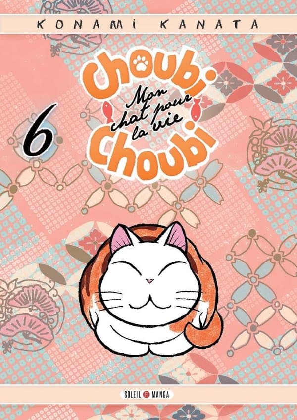 Choubi-choubi - mon chat pour la vie tome 6