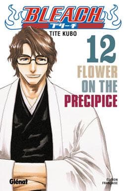 bleach tome 12 - flower on the precipice
