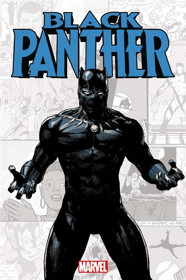 Marvel-verse - Black panther