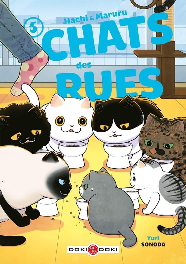 Hachi & Maruru - Chats des rues tome 5
