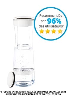 Bouteille et carafe filtrante Brita Bouteille filtrante blanc graphite - 1 filtre MicroDisc inclus