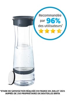 Bouteille et carafe filtrante Brita Bouteille filtrante gris foncé - 1 filtre MicroDisc inclus