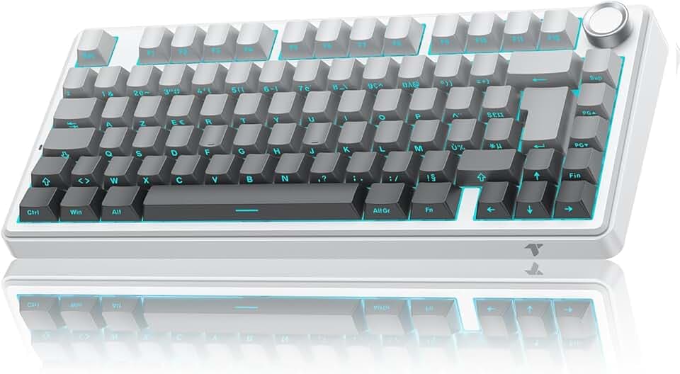 TECURS 75% Gasket Clavier Gamer sans Fil Tri Mode 2.4Ghz/BT5.0/Filaire - Clavier Mécanique Switch Rouges RGB, Hot Swap Personnalisé, Gravur Latéral, Touches PBT, Molette Knob - AZERTY FR - Windows/Mac
