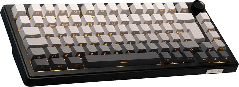 The G-Lab KEYZ Elite 300 GRG - Clavier Gamer sans Fil TKL Tri Mode 2.4 Ghz/Bluetooth/Filaire - Clavier Mécanique Hot Swap, Switchs Pré-lubrifiés, Gravur Latéral, RGB+Macro - AZERTY FR - Windows/Mac