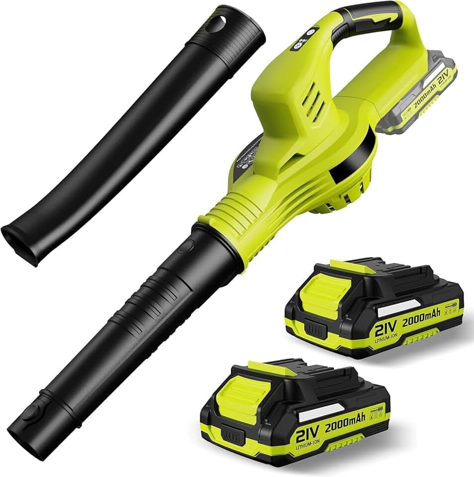 Souffleur de Feuilles sans Fil 21 V, avec Batterie 4,0 Ah et Chargeur, 3000 W, 2 Modes de Vitesse pour l'entretien de la pelouse, Le soufflage de la Neige, et Le dépoussiérage (Vert)