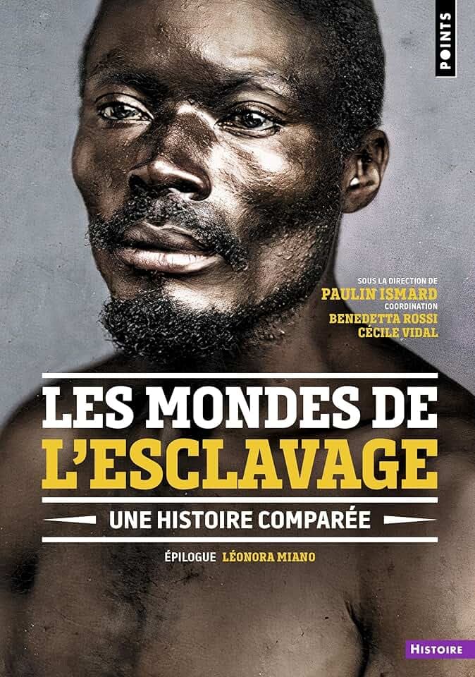 Les Mondes de l'esclavage: Une histoire comparée