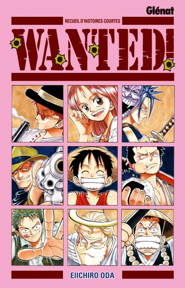 One Piece - Wanted !